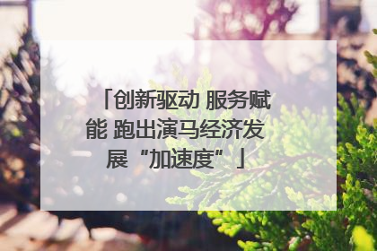 创新驱动 服务赋能 跑出演马经济发展“加速度”