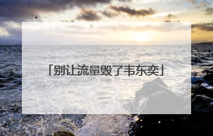 别让流量毁了韦东奕