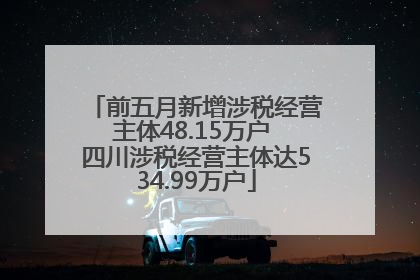 前五月新增涉税经营主体48.15万户 四川涉税经营主体达534.99万户