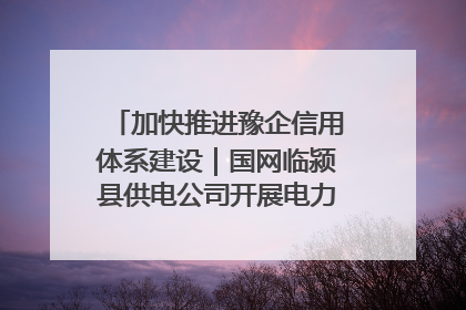 加快推进豫企信用体系建设｜国网临颍县供电公司开展电力行业信用企业现场咨询访谈工作