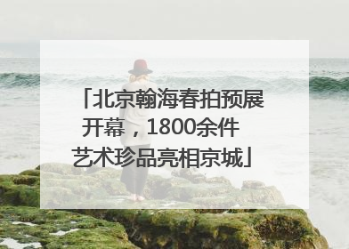 北京翰海春拍预展开幕，1800余件艺术珍品亮相京城