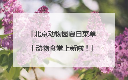 北京动物园夏日菜单丨动物食堂上新啦！