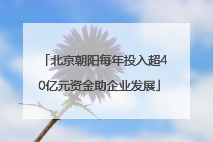 北京朝阳每年投入超40亿元资金助企业发展