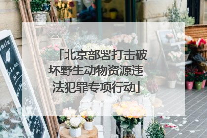 北京部署打击破坏野生动物资源违法犯罪专项行动