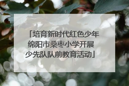 培育新时代红色少年 绵阳市桑枣小学开展少先队队前教育活动