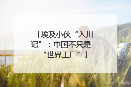 埃及小伙“入川记”：中国不只是“世界工厂”
