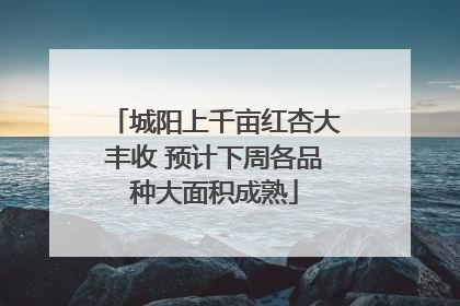 城阳上千亩红杏大丰收 预计下周各品种大面积成熟