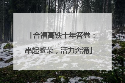 合福高铁十年答卷：串起繁荣，活力奔涌