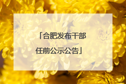 合肥发布干部任前公示公告