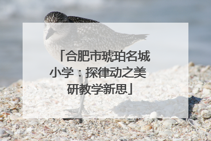 合肥市琥珀名城小学：探律动之美 研教学新思