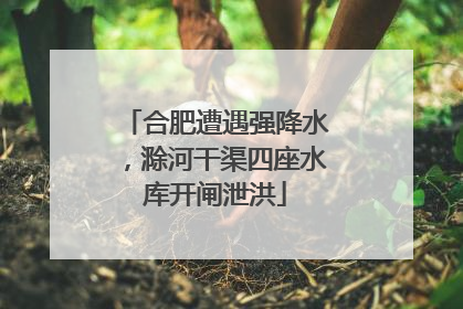 合肥遭遇强降水，滁河干渠四座水库开闸泄洪