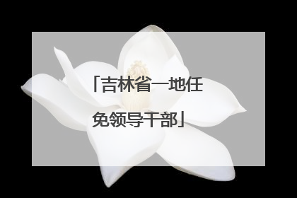 吉林省一地任免领导干部