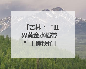 吉林：“世界黄金水稻带”上插秧忙