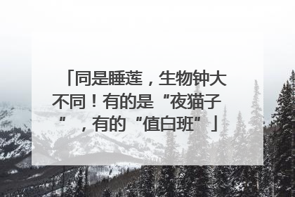 同是睡莲，生物钟大不同！有的是“夜猫子”，有的“值白班”