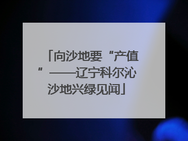 向沙地要“产值”——辽宁科尔沁沙地兴绿见闻