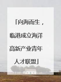 向海而生，临港成立海洋高新产业青年人才联盟