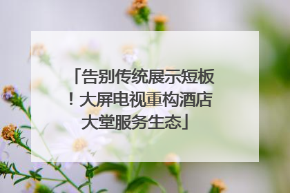 告别传统展示短板！大屏电视重构酒店大堂服务生态