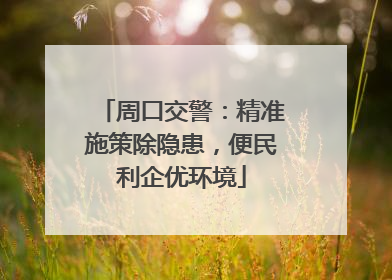 周口交警：精准施策除隐患，便民利企优环境