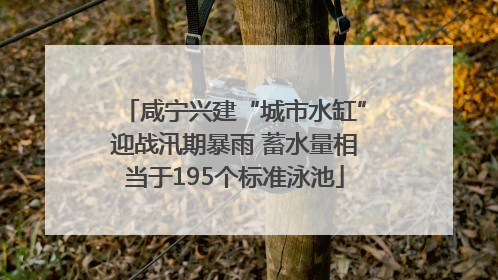 咸宁兴建“城市水缸”迎战汛期暴雨 蓄水量相当于195个标准泳池