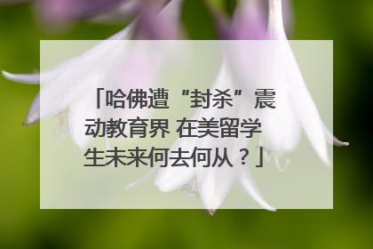 哈佛遭“封杀”震动教育界 在美留学生未来何去何从？