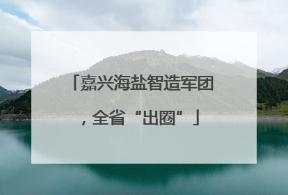 嘉兴海盐智造军团，全省“出圈”
