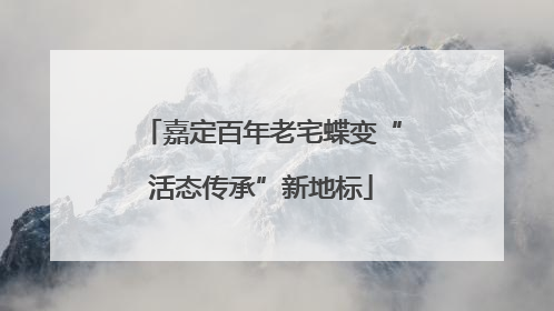 嘉定百年老宅蝶变“活态传承”新地标