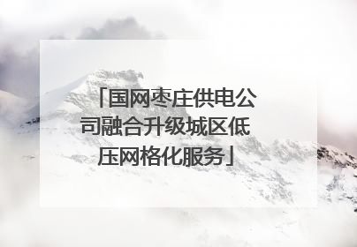 国网枣庄供电公司融合升级城区低压网格化服务