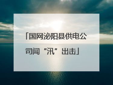 国网泌阳县供电公司闻“汛”出击