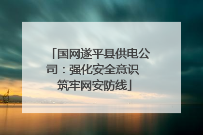 国网遂平县供电公司：强化安全意识 筑牢网安防线