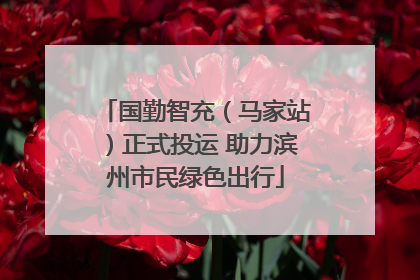 国勤智充（马家站）正式投运 助力滨州市民绿色出行