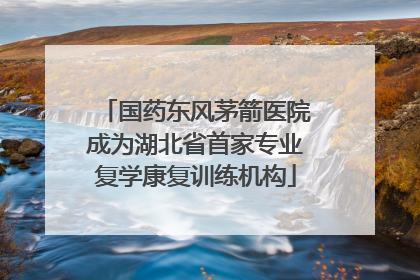 国药东风茅箭医院成为湖北省首家专业复学康复训练机构