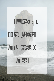 国足0∶1印尼 梦断雅加达 无缘美加墨