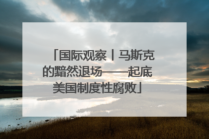 国际观察丨马斯克的黯然退场——起底美国制度性腐败