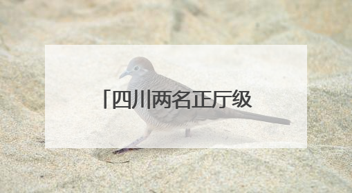 四川两名正厅级干部近期履新，均曾任遂宁市市长