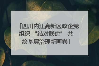 四川内江高新区政企党组织 “结对联建” 共绘基层治理新画卷