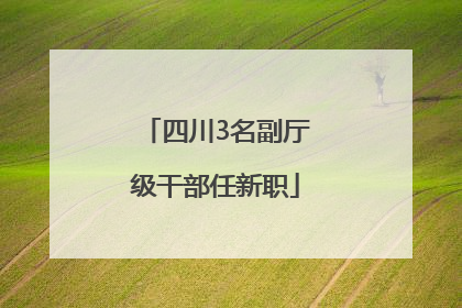 四川3名副厅级干部任新职