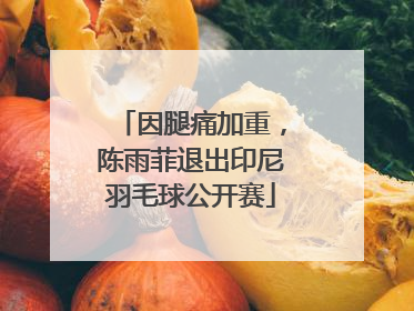 因腿痛加重，陈雨菲退出印尼羽毛球公开赛