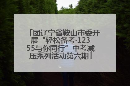 团辽宁省鞍山市委开展“轻松备考·12355与你同行”中考减压系列活动第六期