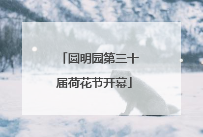 圆明园第三十届荷花节开幕
