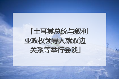 土耳其总统与叙利亚政权领导人就双边关系等举行会谈