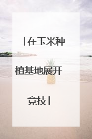 在玉米种植基地展开竞技