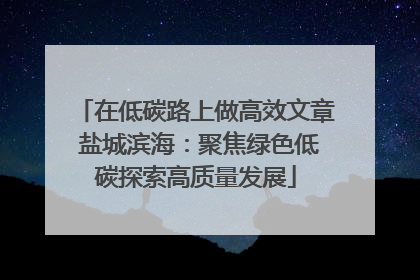 在低碳路上做高效文章 盐城滨海：聚焦绿色低碳探索高质量发展
