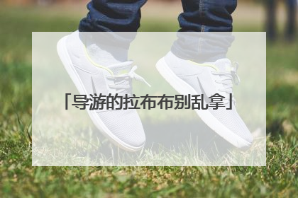 导游的拉布布别乱拿