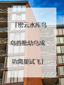 密云水库鸟岛首批幼鸟成功离巢试飞