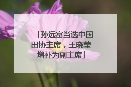 孙远富当选中国田协主席，王晓莹增补为副主席