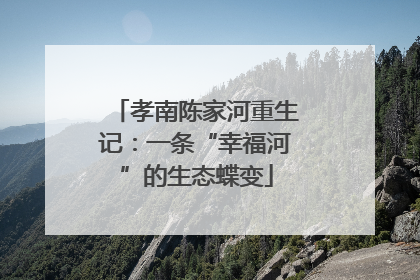孝南陈家河重生记：一条“幸福河”的生态蝶变