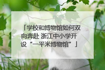 学校和博物馆如何双向奔赴 浙江中小学开设“一平米博物馆”