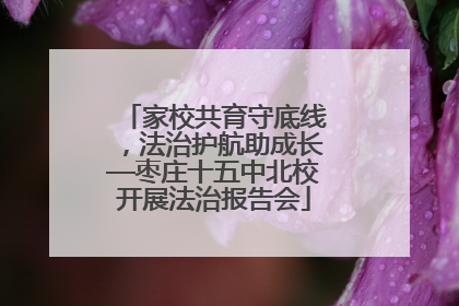 家校共育守底线，法治护航助成长—枣庄十五中北校开展法治报告会