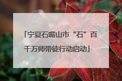 宁夏石嘴山市“石”百千万师带徒行动启动
