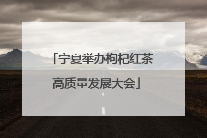宁夏举办枸杞红茶高质量发展大会